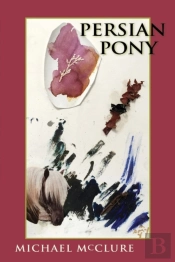 Persian Pony