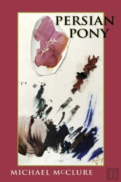 Bertrand.pt - Persian Pony
