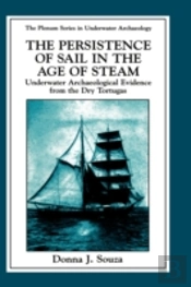 Persistence Of Sail In The Age Of Steam