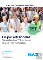 Personal Laboral Ministerios Grupo Profesional M1 (Tecnic