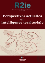 Perspectives Actuelles En Intelligence Territoriale : Revue Internationale D'Intelligence Économique 16-2