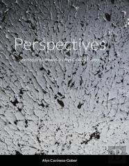 Perspectives