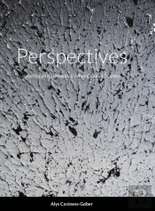 Perspectives