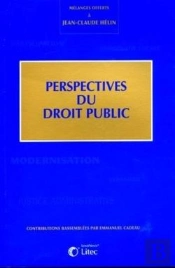 Perspectives Du Droit Public