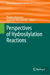 Perspectives Of Hydrosilylation Reactions