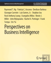 Perspectives On Business Intelligence