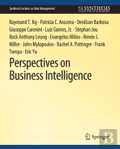 Perspectives On Business Intelligence