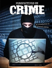 Perspectives On Crime