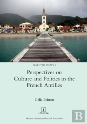 Perspectives On Culture And Politics In