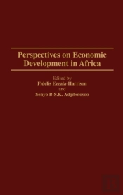 Perspectives On Economic Development In Africa