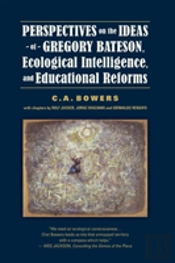 Perspectives On The Ideas Of Gregory Bat