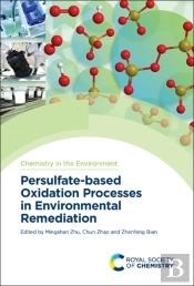 Persulfate-Based Oxidation Processes In Environmental Remediation
