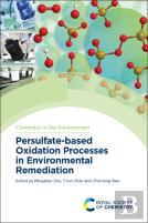 Persulfate-Based Oxidation Processes In Environmental Remediation