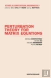 Perturbation Theory For Matrix Equations