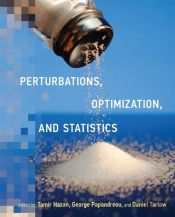 Perturbations, Optimization, And Statistics