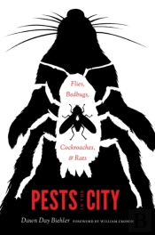 Pests In The City