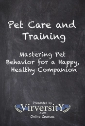 Pet Care And Training