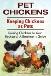 Pet Chickens. Keeping Chickens As Pets.