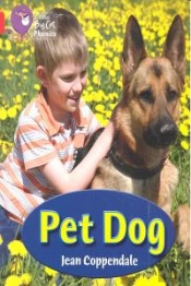 Pet Dog