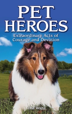 Bertrand.pt - Pet Heroes