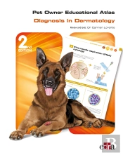 Pet Owner Educational Atlas: Diagnosis In Dermatology -2nd Edition