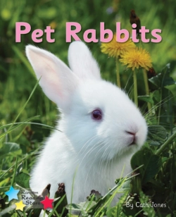 Bertrand.pt - Pet Rabbits