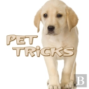 Pet Tricks