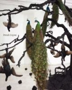 Bertrand.pt - Petah Coyne
