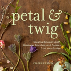 Bertrand.pt - Petal & Twig