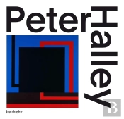 Peter Halley
