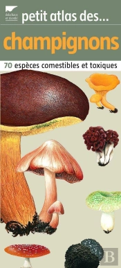 Petit Atlas Des Champignons