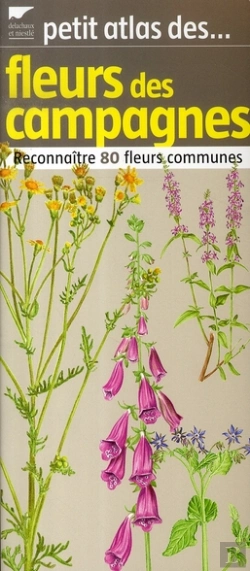 Bertrand.pt - Petit Atlas Des Fleurs ; Reconnaître 80 Fleurs Communes