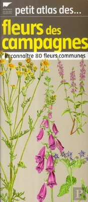 Petit Atlas Des Fleurs ; Reconnaître 80 Fleurs Communes