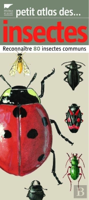 Petit Atlas Des Insectes ; Reconnaître 80 Insectes Communs