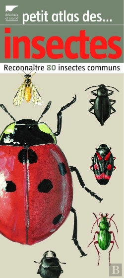 Bertrand.pt - Petit Atlas Des Insectes ; Reconnaître 80 Insectes Communs