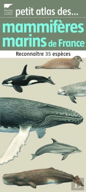 Petit Atlas Des Mammiferes Marins De Fra