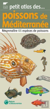 Petit Atlas Des Poissons De Méditerranée ; Reconnaître 65 Espèces De Poissons