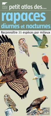 Petit Atlas Des Rapaces Diurnes Et Nocturnes