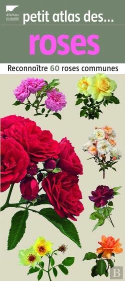 Bertrand.pt - Petit Atlas Des Roses