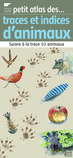 Bertrand.pt - Petit Atlas Des Traces Et Indices D'Animaux ; Suivre À La Trace 50 Animaux