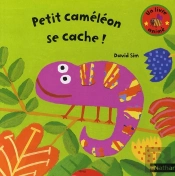 Petit Caméléon Se Cache !