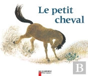 Petit Cheval Et Vieux Chameau