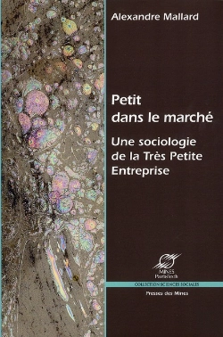Bertrand.pt - Petit Dans Le Marche - Une Sociologie De La Tres Petite Entreprise