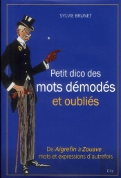 Petit Dictionnaire Des Mots Demodes Et Oublies