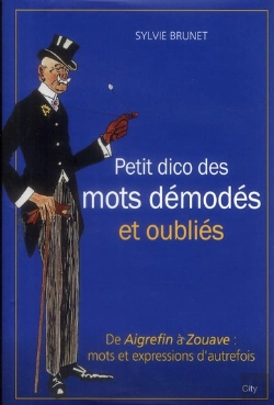 Bertrand.pt - Petit Dictionnaire Des Mots Demodes Et Oublies