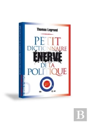 Petit Dictionnaire Énervé De La Politique