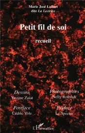 Petit Fil De Soi ; Recueil