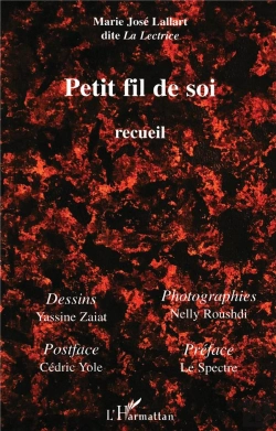 Bertrand.pt - Petit Fil De Soi ; Recueil
