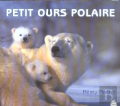 Petit Ours Polaire