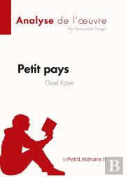 Petit Pays De Gaël Faye, Analyse De L'Oeuvre
